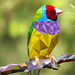 bird-polygonal-illustration